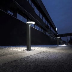 Solar Lawn Light