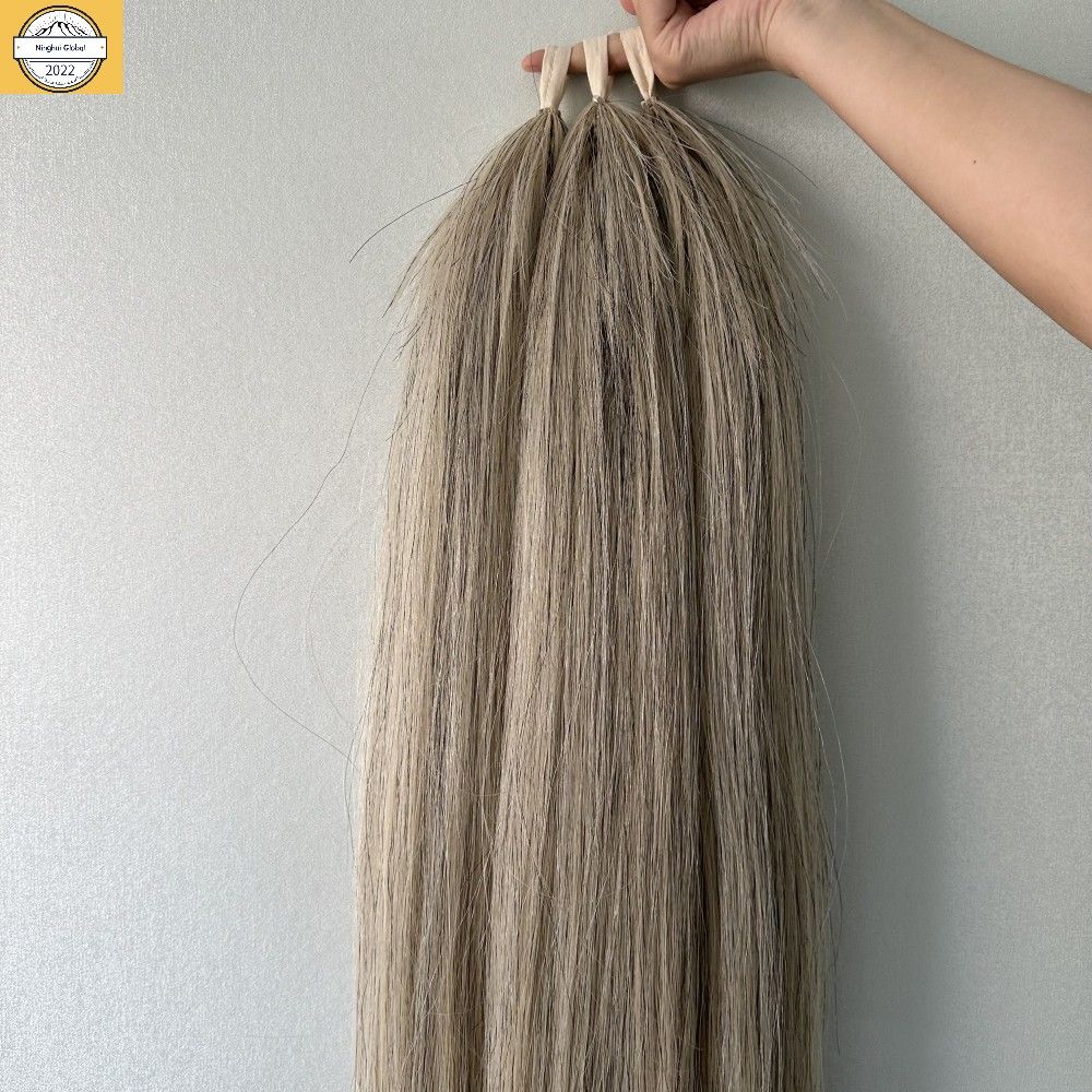 Horse tail extension