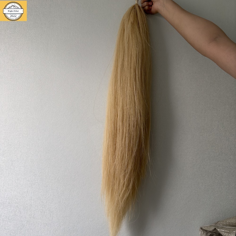 Horse tail extension
