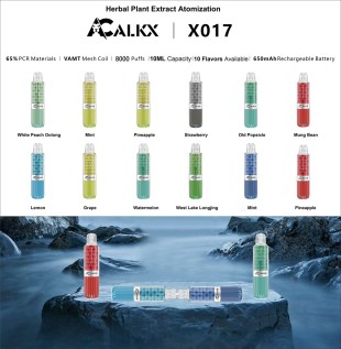 10Pcs/Set Free Shipping 10 Flavor Different Colors Exquisite Health Care Electronic Oral Spray Refreshing Mint Herbal Plant Atomizer