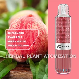 10Pcs/Set Free Shipping 10 Flavor Different Colors Exquisite Health Care Electronic Oral Spray Refreshing Mint Herbal Plant Atomizer