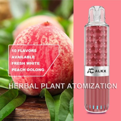 10Pcs/Set Free Shipping 10 Flavor Different Colors Exquisite Health Care Electronic Oral Spray Refreshing Mint Herbal Plant Atomizer