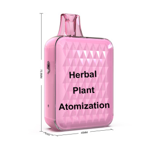 10PCS/SET Free Shipping Oral Spray Inhalation Nasal Refreshing Mint Mouth Herbal Plant Atomization