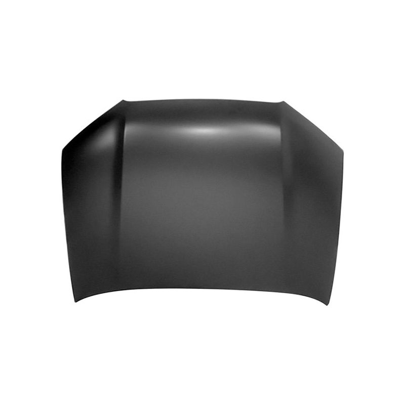 HOOD 53301-0R060