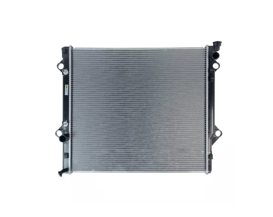 HOOD 53301-0R060
