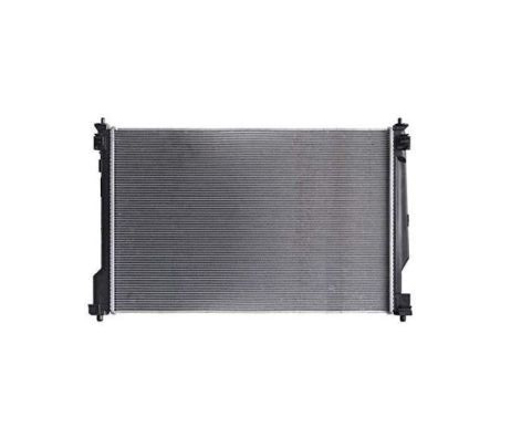 HOOD 53301-0R060