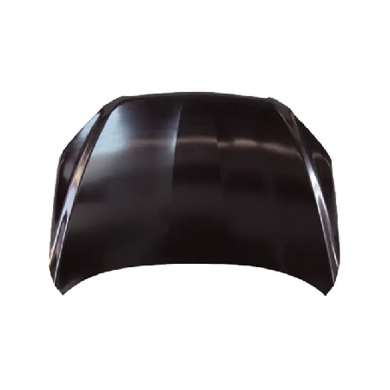HOOD 53301-0R060