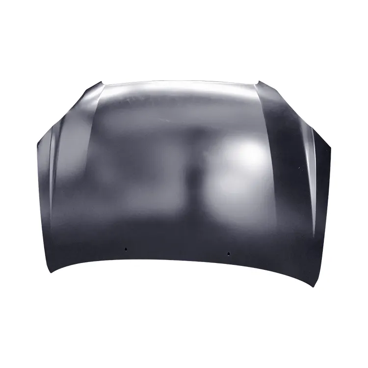 HOOD 53301-0R060