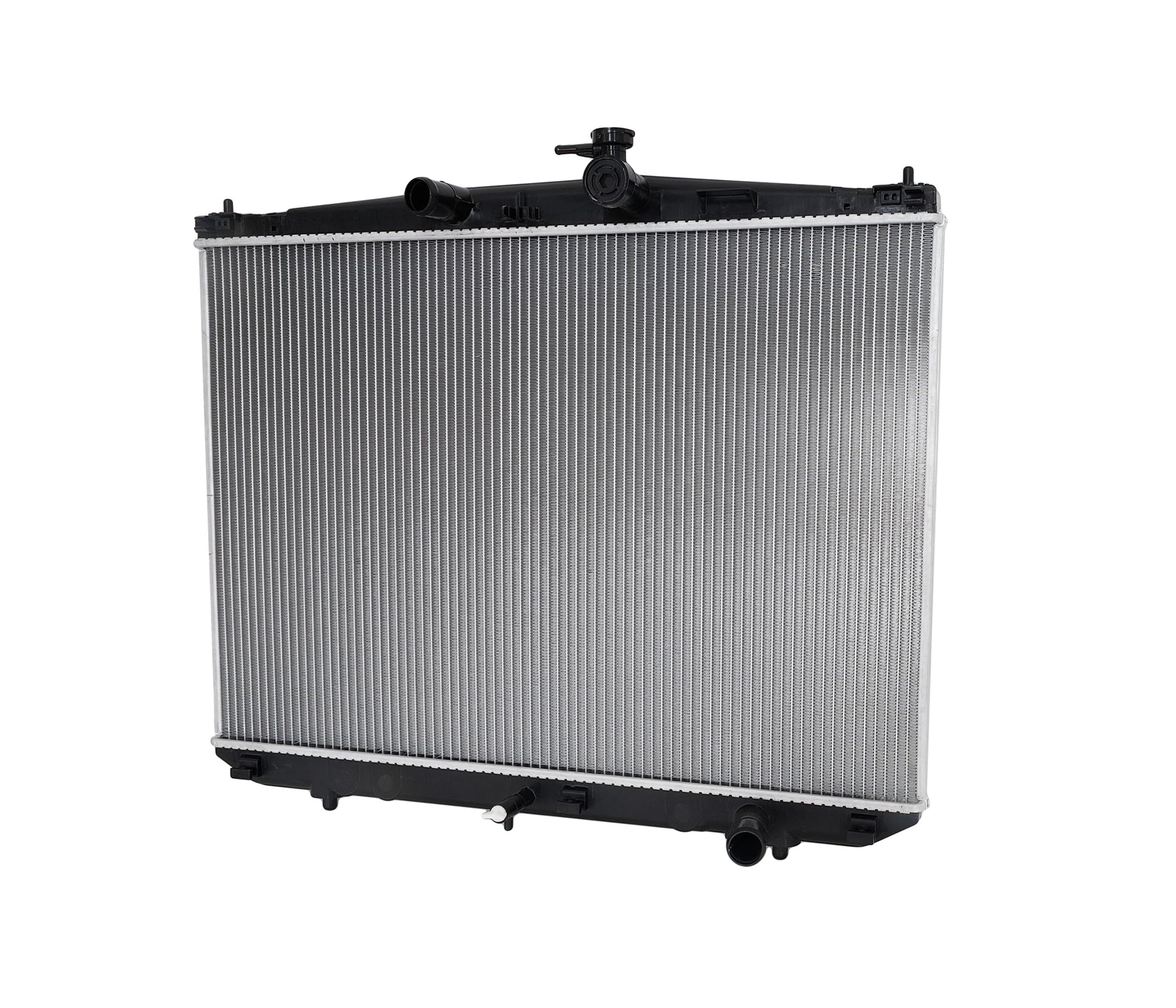 HOOD 53301-0R060